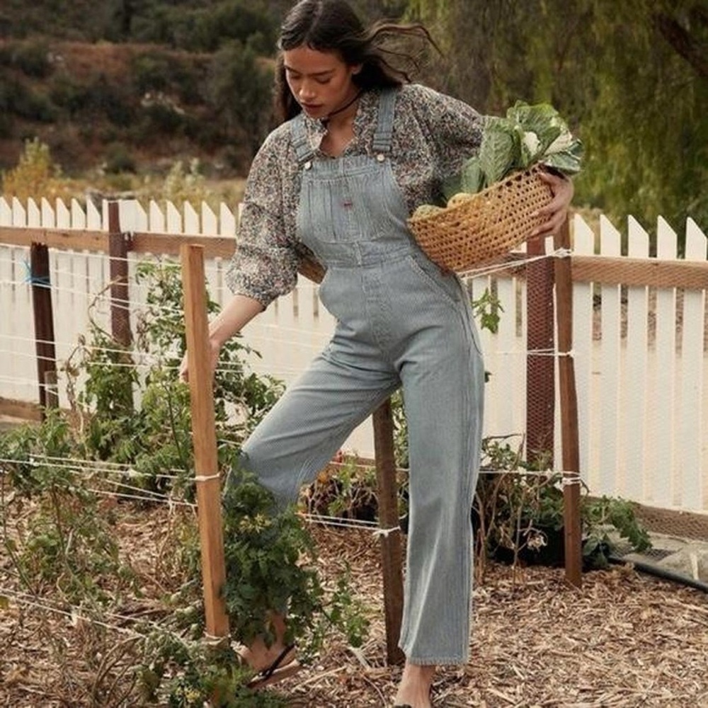 DOEN Myrtle Overalls in Hickory Stripe, size 29